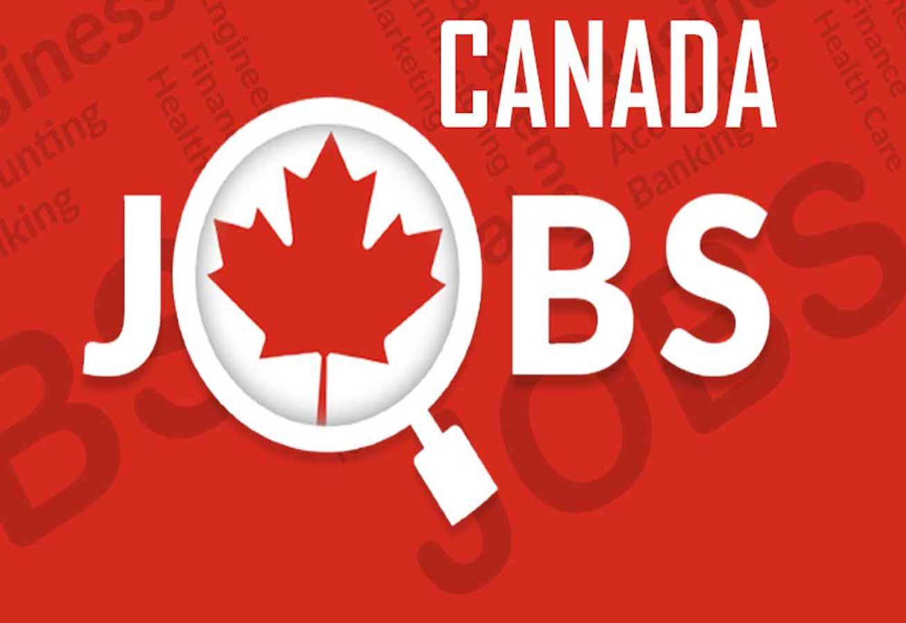 Best Job Opportunity in Canada 2024