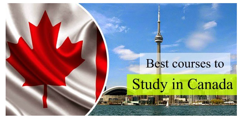 Best Top 10 Demandable Subjects to Study in Canada