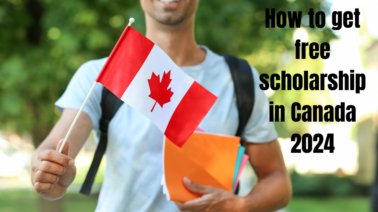 How to get free scholarship in Canada 2024