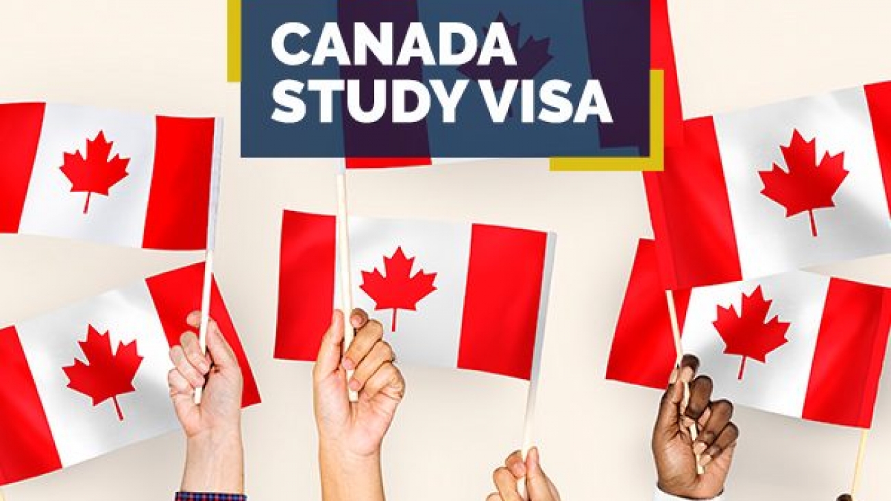 Best Applying for the Visa to Study in Canada 2024